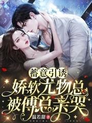 蓄意引诱娇软尤物总被傅总亲哭免费